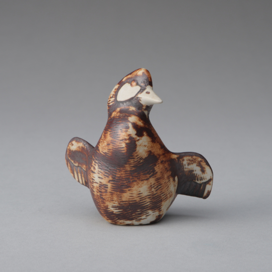 Standing Goldeneye Kid of Archipelago Birds