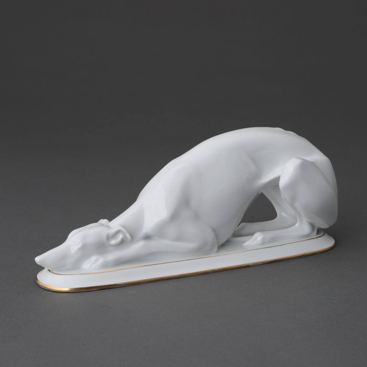 Greyhound