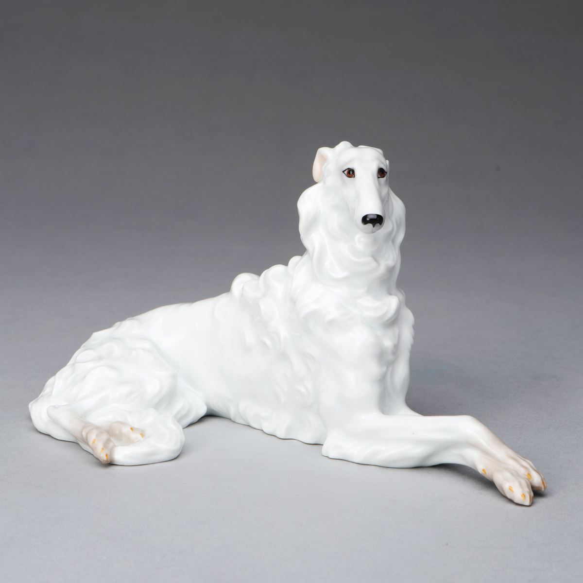 Borzoi
