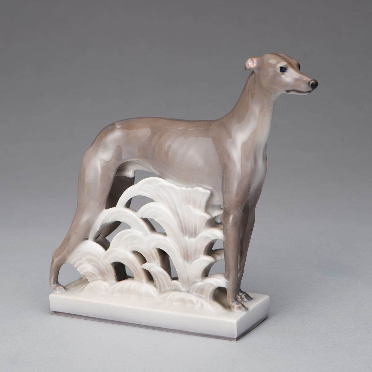 Greyhound