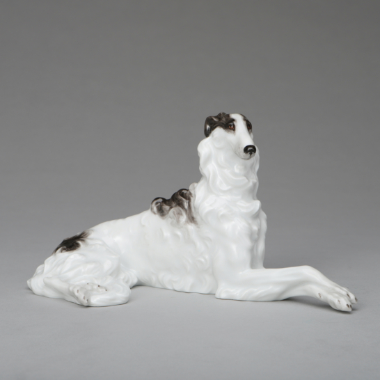 Borzoi