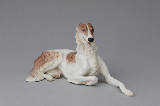 Borzoi