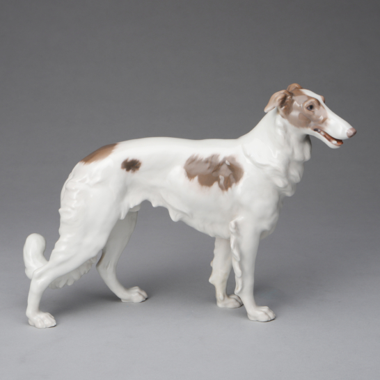 Borzoi Standing
