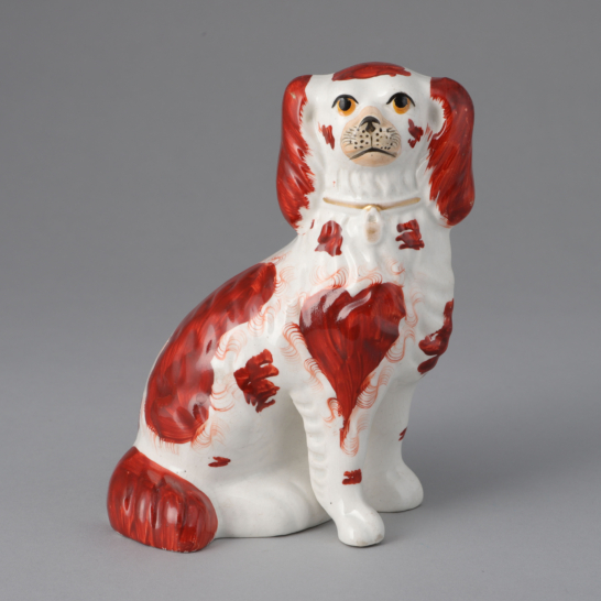 Russet & White Spaniel