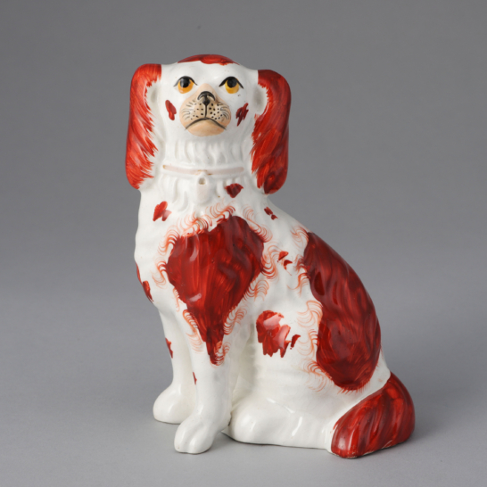 Russet & White Spaniel