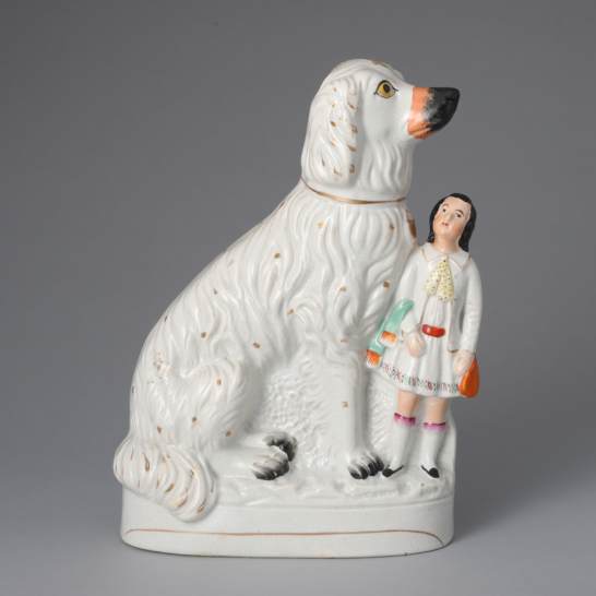 Afghan Hound & Child