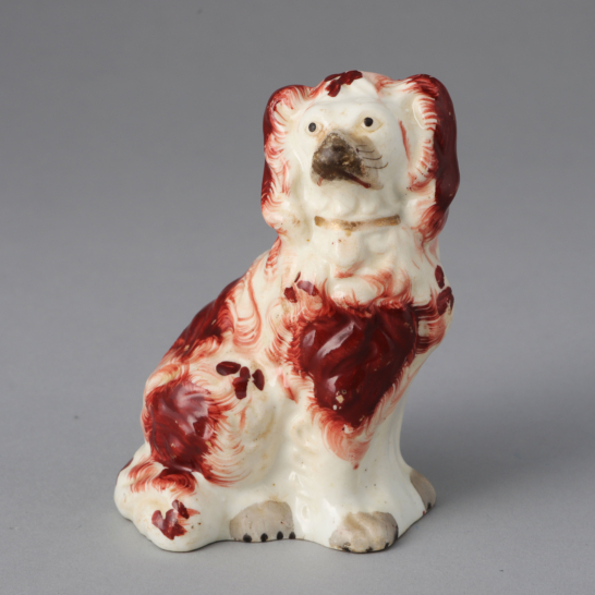 Russet & White Spaniel