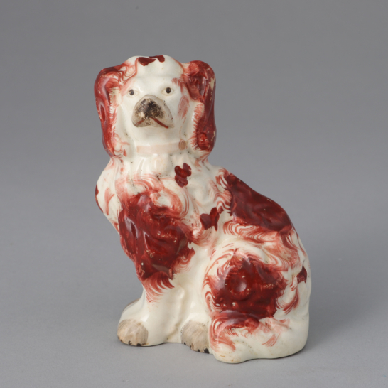 Russet & White Spaniel