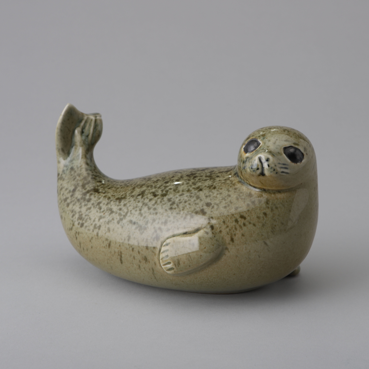 Utrotningshotade Djur, Gråsäl(Endangered Animals, Gray Seal)