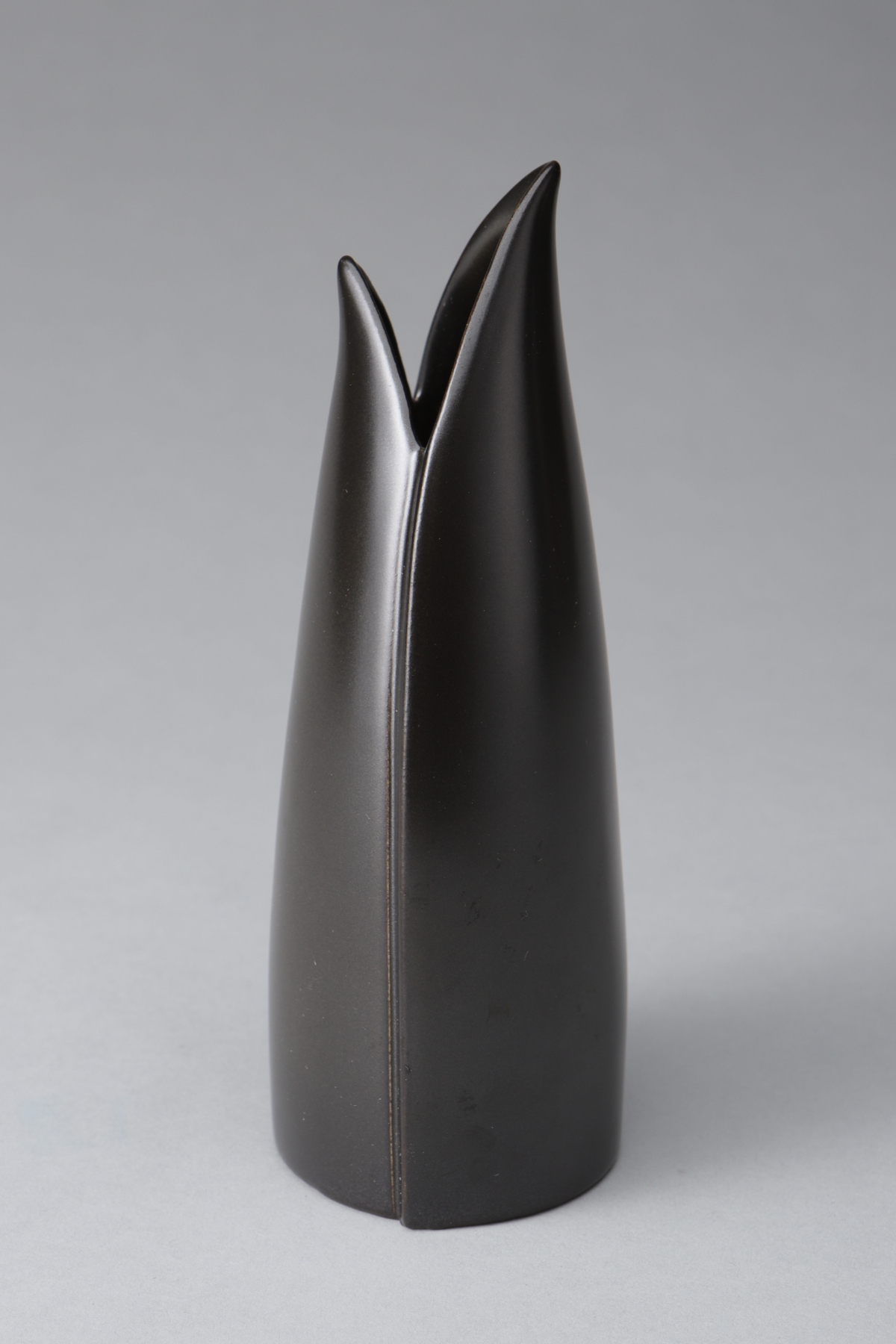 "Endiv" Series Black Vase