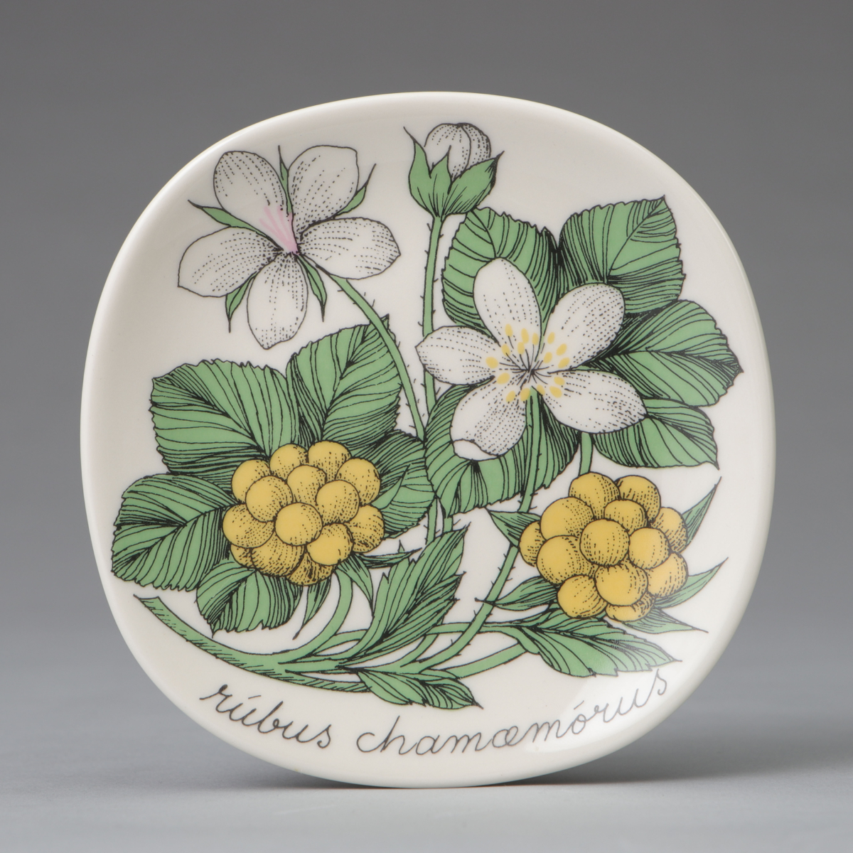 "Botanica" Wall Plate, "Rubus Chamamorus (Cloudberry)"