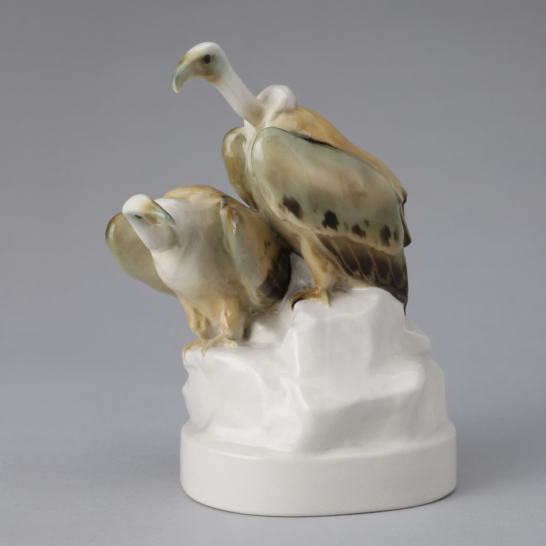 Gänsegeier(Gyps Fulvus)