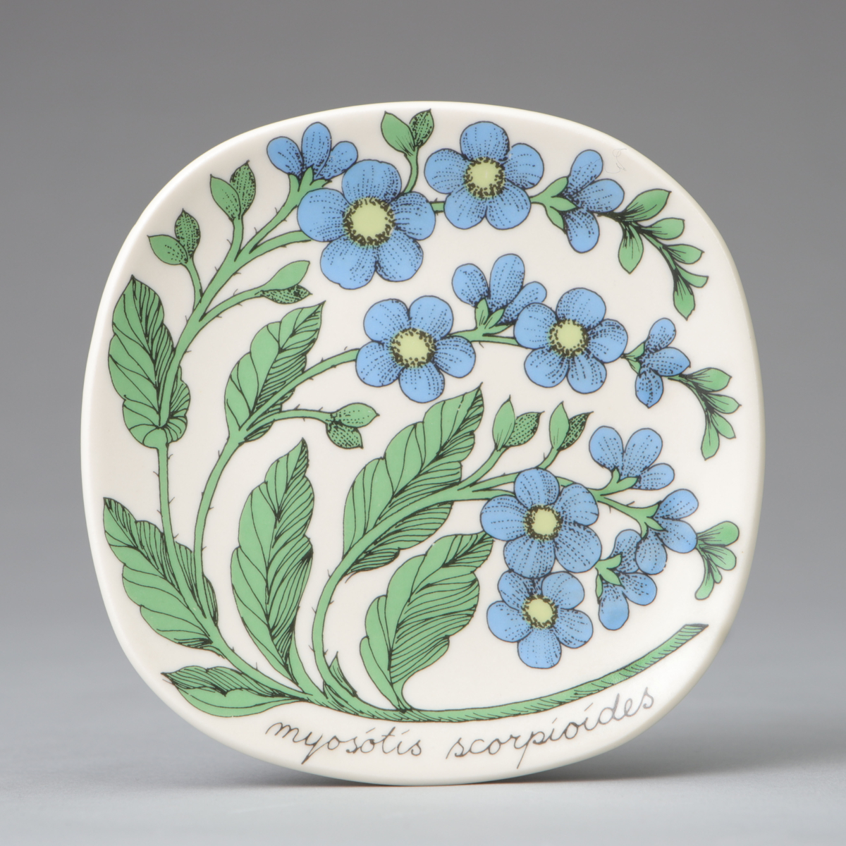"Botanica" Wall Plate, "Myositis scorpioides (True Forget-me-not)"