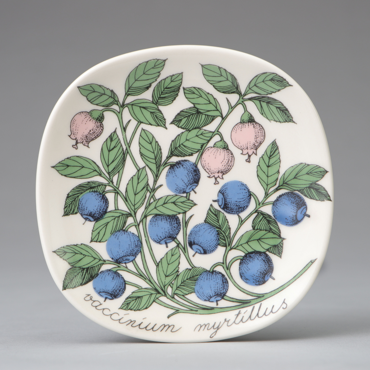 "Botanica" Wall Plate, "Vaccinium myrtillus (Bilberry)"