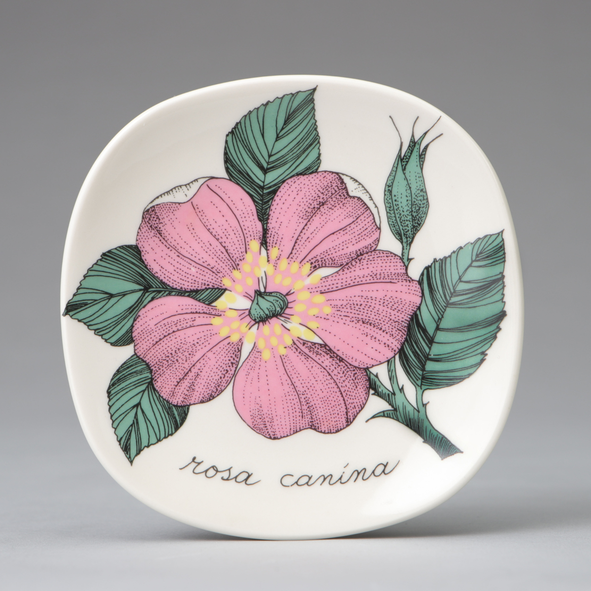 "Botanica" Wall Plate, "Rosa canina (Dog Rose)"