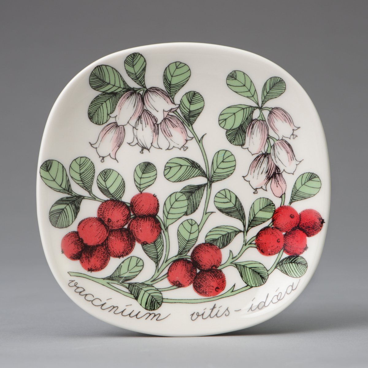 "Botanica" Wall Plate, "Vallunium vitis-idaea (Lingonberry)"