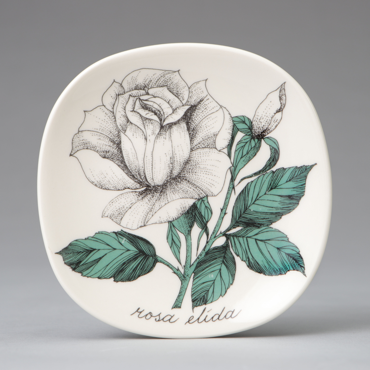 "Botanica" Wall Plate, "Rosa Elida (White Rose)"