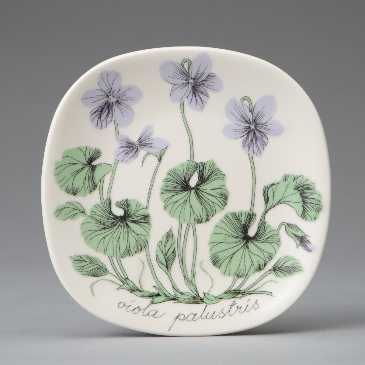 "Botanica" Wall Plate, "Viola palustris (Marsh Violet)"