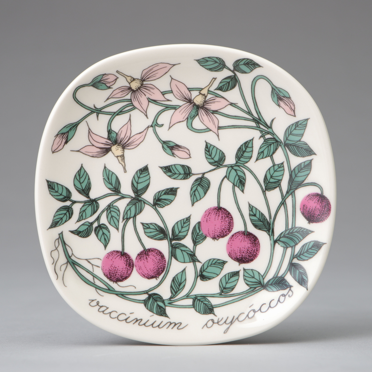 "Botanica" Wall Plate, "Vaccinium oxycoccus (Cranberry)"