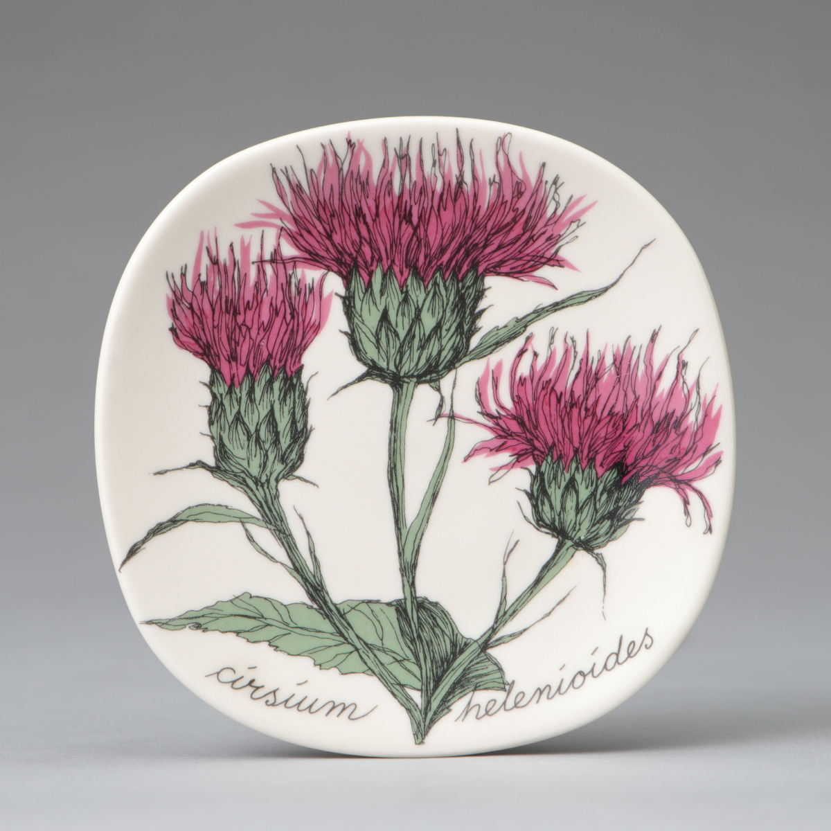 "Botanica" Wall Plate, "Cirsium helenioides"