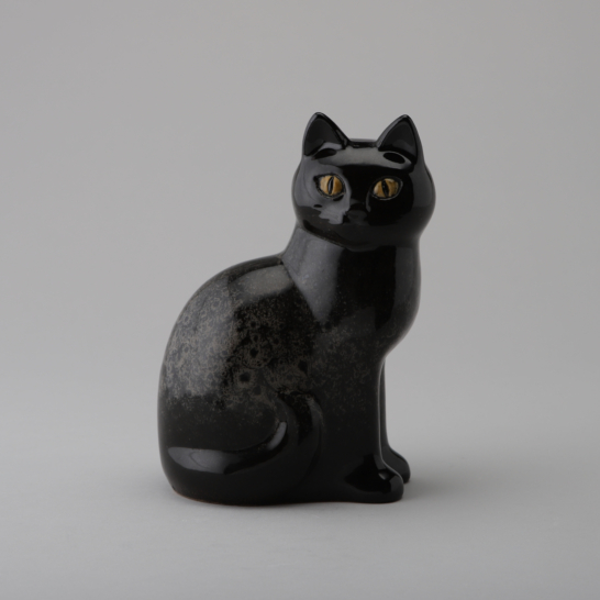 Murre, Black Cat Midi