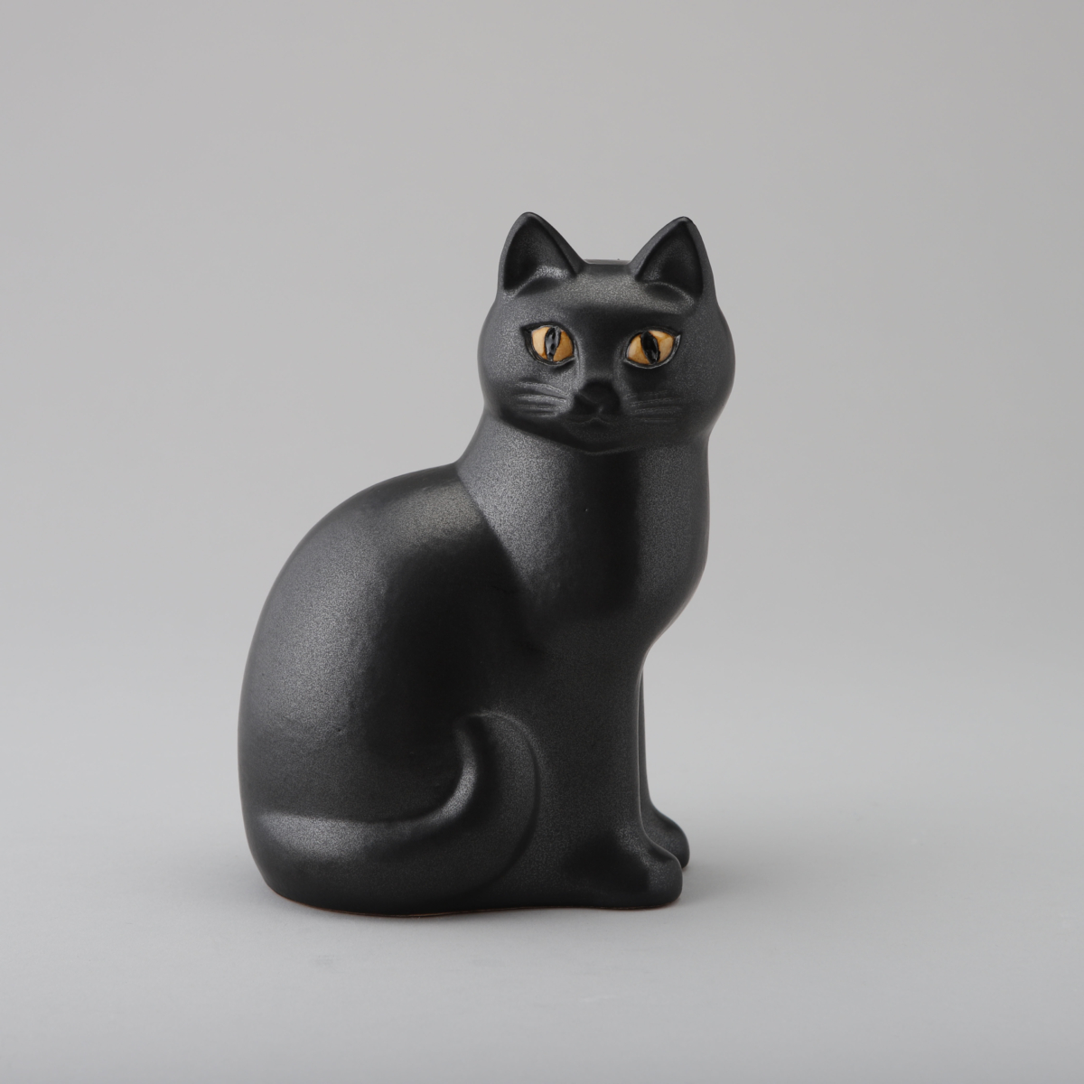 Murre, Black Cat Midi