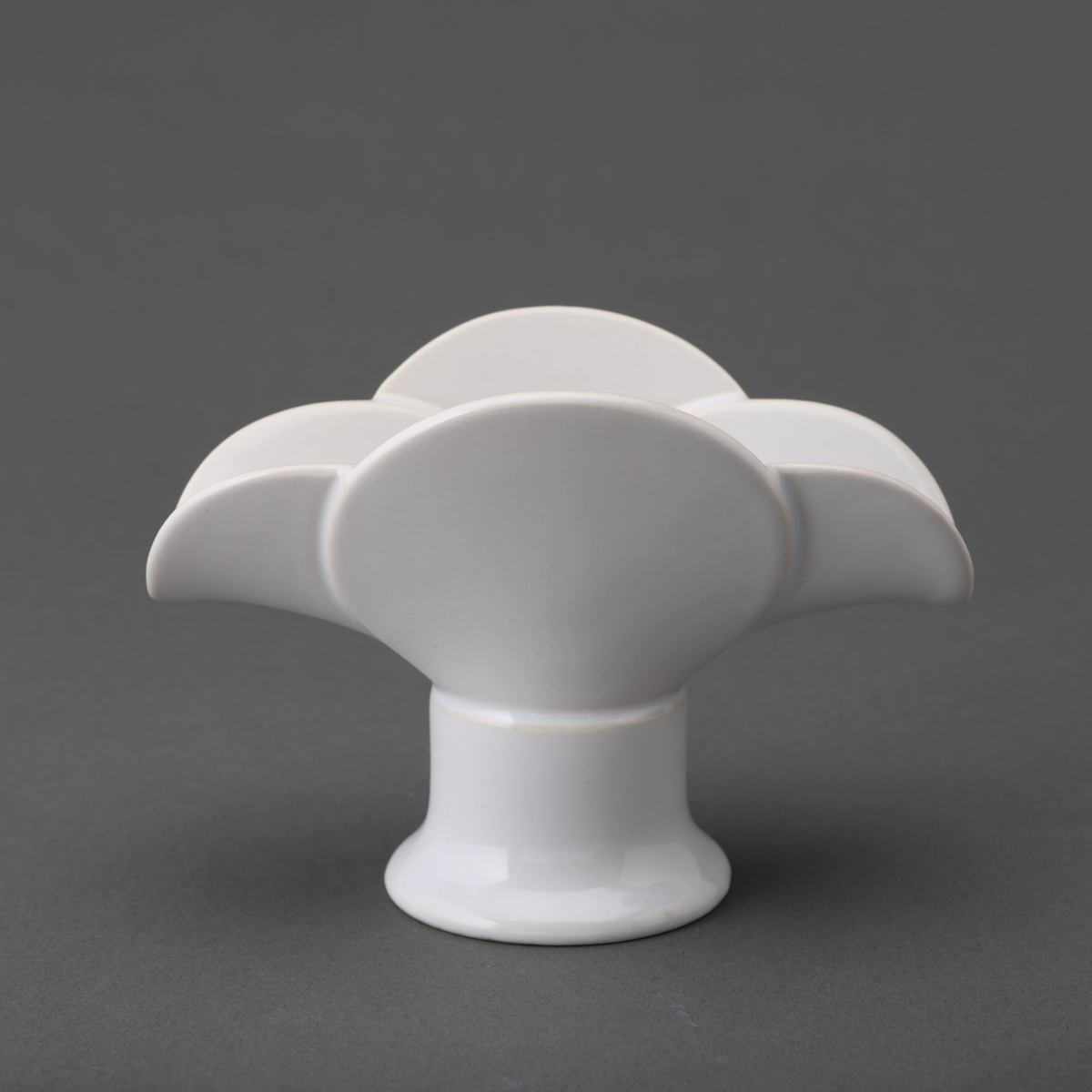 Lichtblüte/Candle Blossom