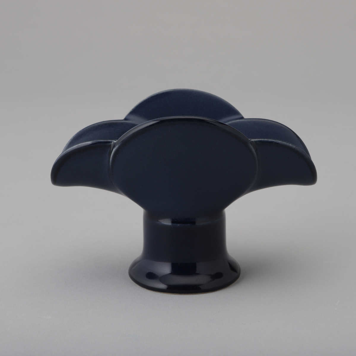 Lichtblüte/Candle Blossom