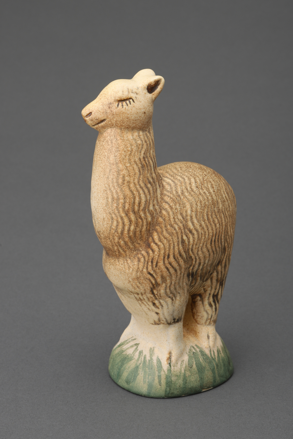 Andra Djur, Alpaca