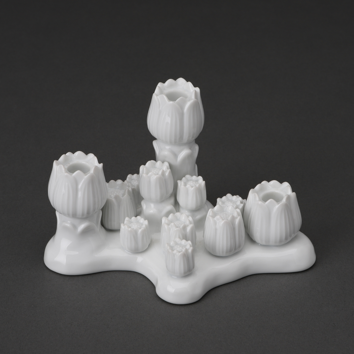 "Zauberflöte (The Magic Flute)_Sarastro" Series Tulip