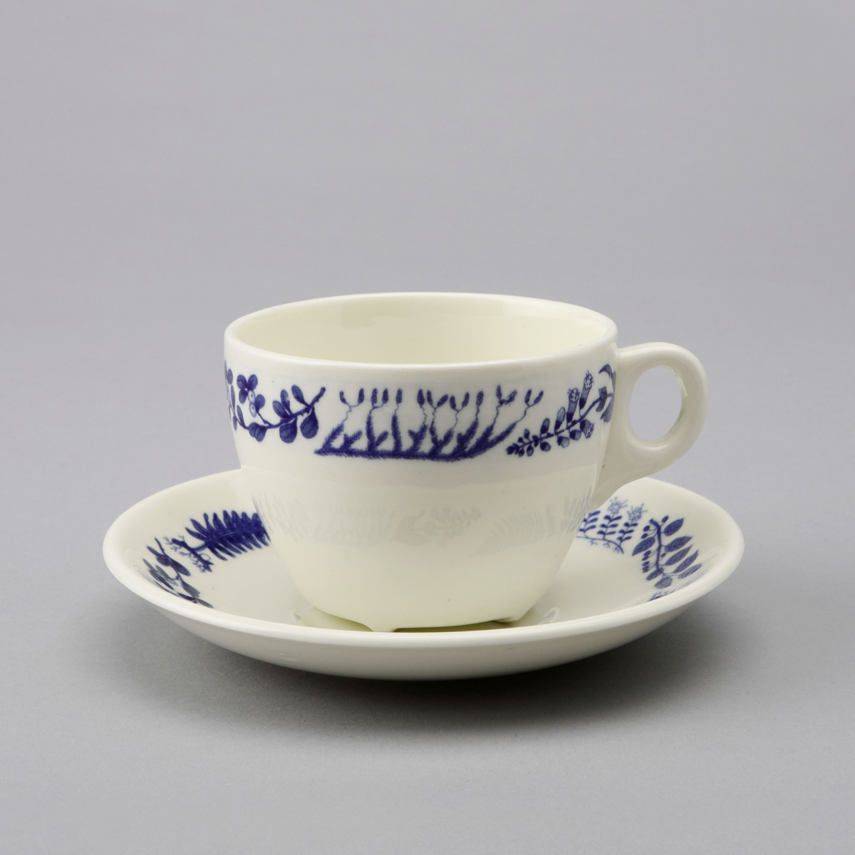 "Medicinalväxter" Cup and Saucer