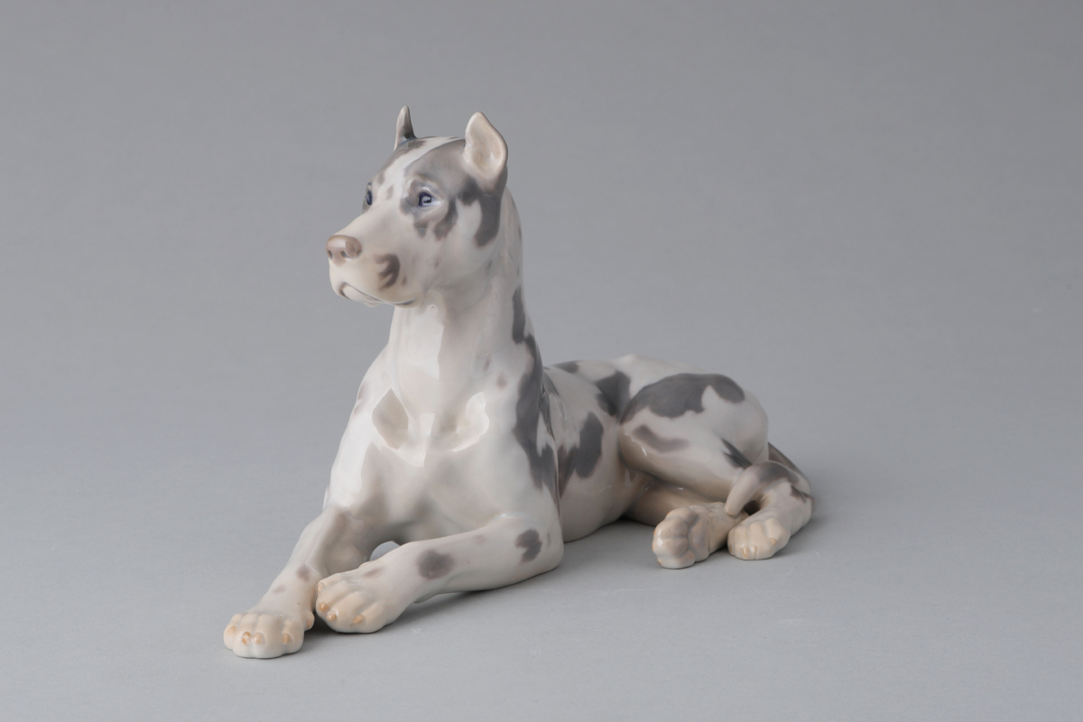Great Dane