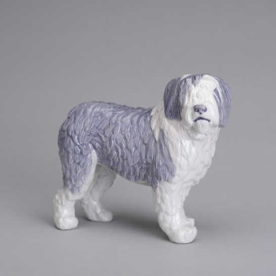 Old English Sheepdog