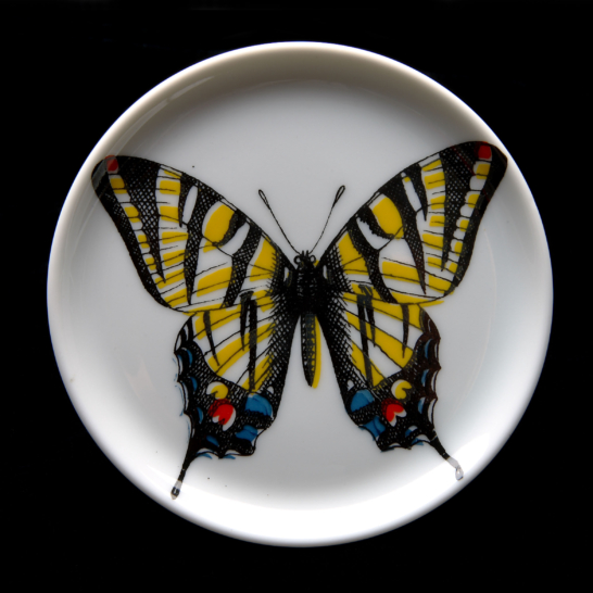 Fornasetti Butterly Pattern Plate
