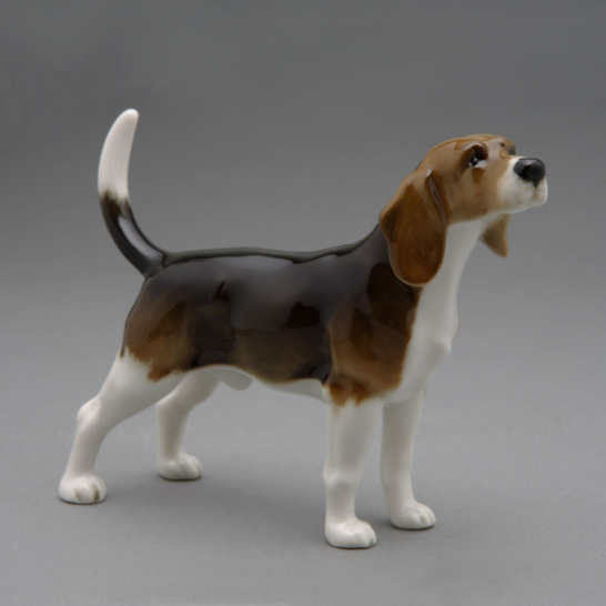 Beagle
