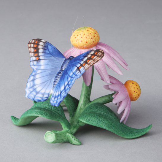 Red- Spotted Purple Butterfly