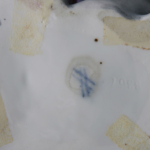 m008138_05